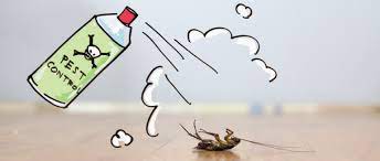 controlling insects in homes